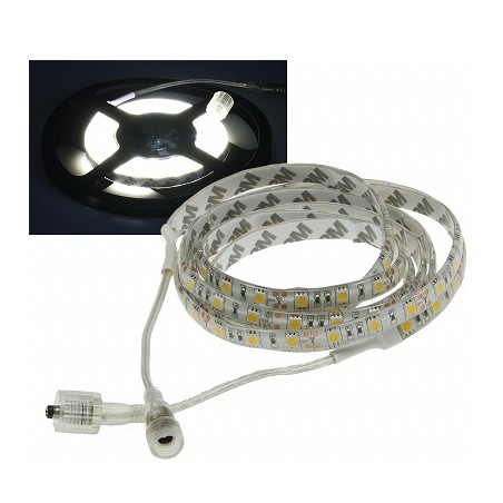 Chilitec LED-Stripe "CLS-1000 SQ", 10W/m, 10m, 600 SMD LEDs | 3378