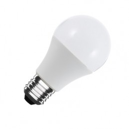 NVLED LED Lampe, Birne A60, E27, 12V/24V AC/DC, 10W, matt