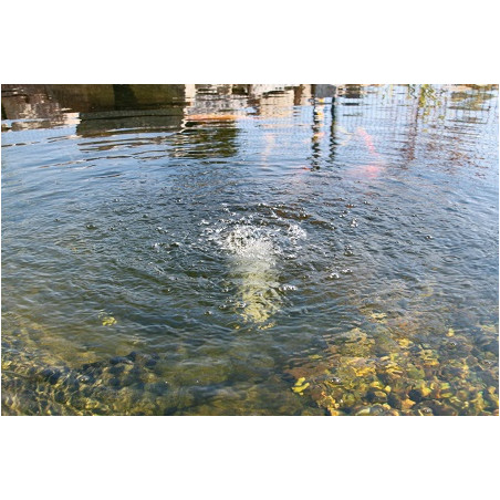 Esotec Solar Teichbelüfter "Single 3.5/120" Komplettset, 3.5W