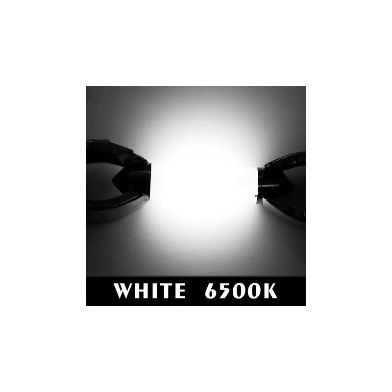 HM LED-Soffitte SV8.5, C5W, COB, Canbus, 2W, 31mm/41mm