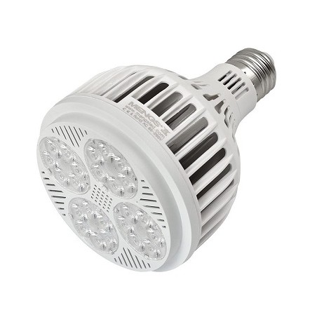 MENGS E27 LED Lampe, Spot/Reflektor "PAR30L", 25W