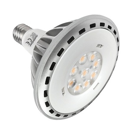 MENGS LED Lampe, Spot/Reflektor "PAR30L" E27, 12W | 4140