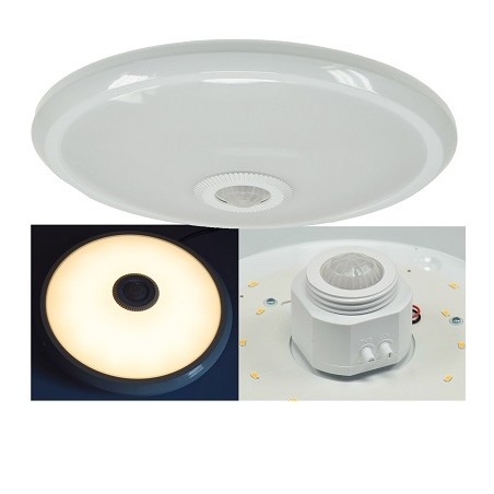 Chilitec LED Deckenleuchte 12W, mit Bewegungsmelder, 29cm | 2549