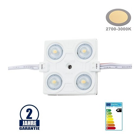 David Com. LED-Leuchtwerbung Chip Modul, 1.5W/Stk., 12V | 4598