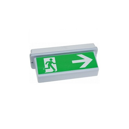 Chilitec LED-Fluchtwegleuchte "NL-D2", Deckenmontage, 30 LEDs | 2196