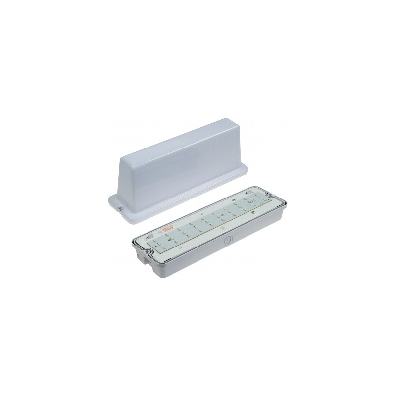 Chilitec LED-Fluchtwegleuchte "NL-D2", Deckenmontage, 30 LEDs | 2196