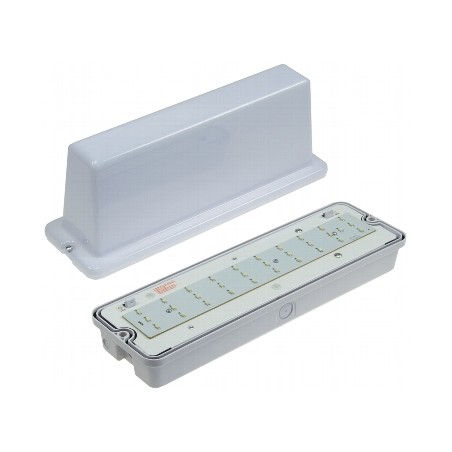 Chilitec LED-Fluchtwegleuchte "NL-D2", Deckenmontage, 30 LEDs | 2196